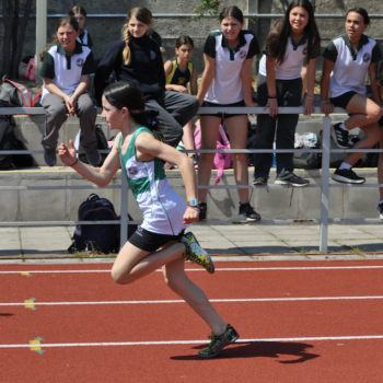 Captura de pantalla 2025-10-06 a la(s) 12.20.03 a. m.